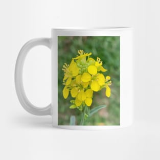 Yellow lampshade flower Mug